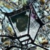 Painting of a Lamp post by Buckingham ChurchDecember - 30 Streetlight - Cathy Read - ©2018 - Watercolour and Acrylic