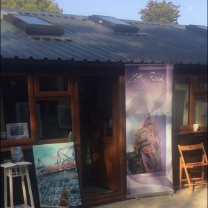 Art on the Fence Open air art exhbition featuring work by Cathy Read Art