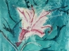 Lily- ©2010 Cathy - 38x28cm- Mixed media on paper