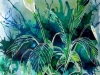 Peace Lily -  ©2011 Cathy - Watercolour and Acrylic ink